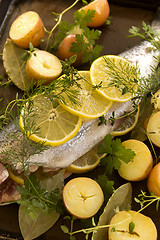 Image showing Raw Trout And Vegetables 