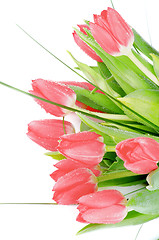 Image showing Spring Tulips