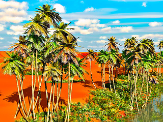 Image showing Palm trees on desert