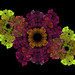 Image showing Symmetrical growth of bacteria