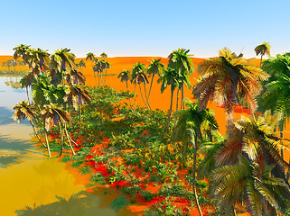 Image showing Palm trees on desert