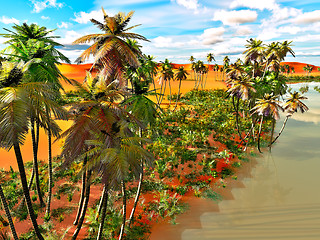 Image showing Palm trees on desert