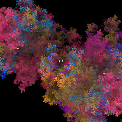 Image showing Symmetrical growth of bacteria