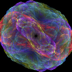 Image showing Symmetrical growth of bacteria