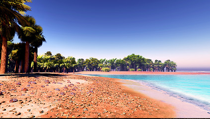 Image showing Palm trees on desert