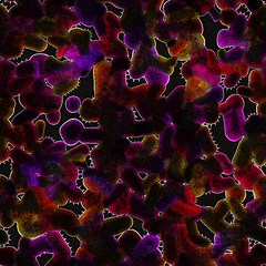 Image showing Symmetrical growth of bacteria