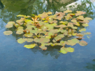 Image showing Waterlily oil paint