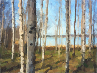 Image showing Birch Tree oil paint