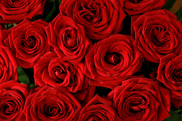 Image showing Seamless Red roses background