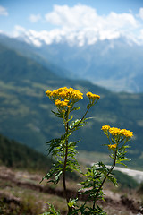 Image showing Hiking in mountain