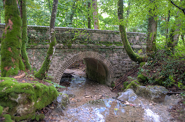 Image showing France Savoie forest walks