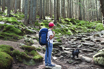 Image showing Boy in forest