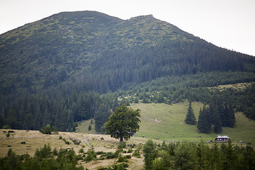 Image showing A farm in the Carpathian mountain