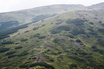 Image showing Road in Carpathian mountains