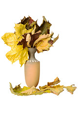 Image showing Jug with fallen leaves