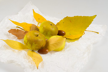 Image showing autumn leaves with apples