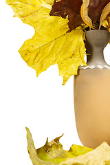 Image showing Jug with fallen leaves