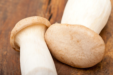 Image showing fresh wild mushrooms
