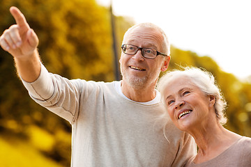 Image showing senior couple in park