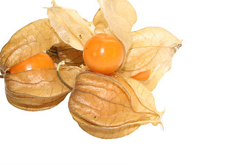 Image showing physalis fruit