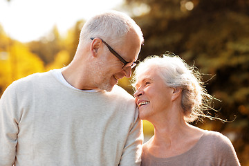 Image showing senior couple in park