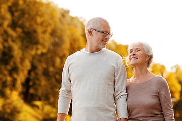 Image showing senior couple in park