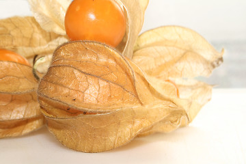 Image showing physalis fruit