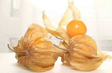 Image showing physalis fruit