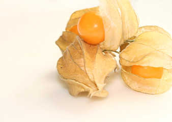 Image showing physalis fruit