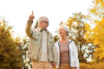 Image showing senior couple in park