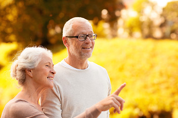 Image showing senior couple in park