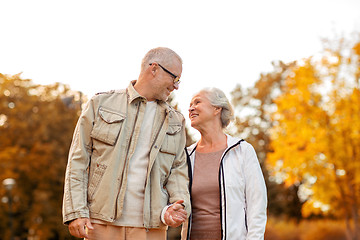 Image showing senior couple in park