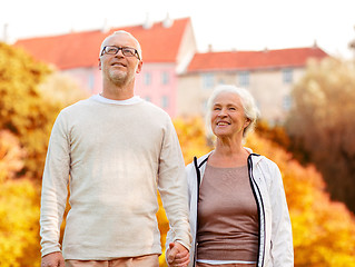 Image showing senior couple in city park