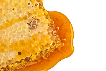 Image showing sweet honeycombs with honey