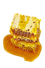 Image showing sweet honeycombs with honey