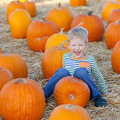 Image showing kid at pumpkin patch