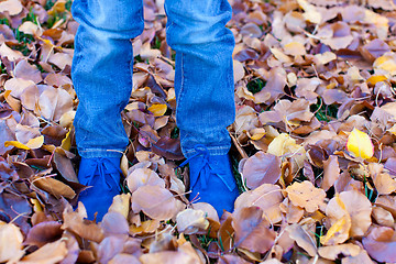 Image showing kids feet in autumn leaves