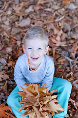 Image showing kid at fall