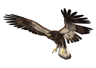 Image showing Eagle Landing