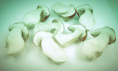 Image showing Retro look Porcini Mushroom