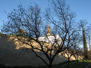 Image showing Tree Mosque. Nicosia. Cyprus