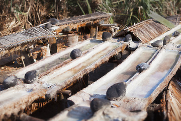 Image showing Production common salt in the old way. Indonesia, Bali