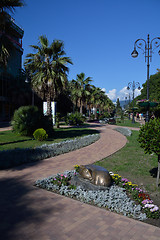Image showing Alley in the central park of Sochi, Russia