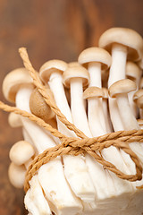 Image showing fresh wild mushrooms