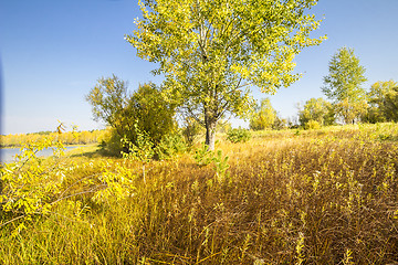 Image showing autumn landscapes