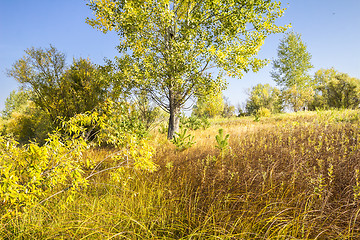 Image showing autumn landscapes