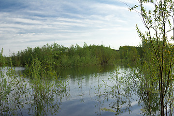 Image showing spring flood.