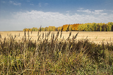 Image showing autumn landscapes