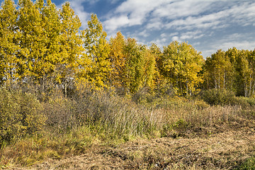 Image showing autumn landscapes