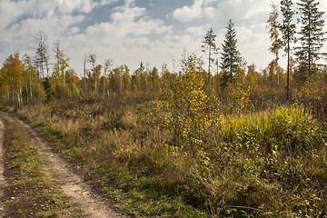 Image showing autumn landscapes